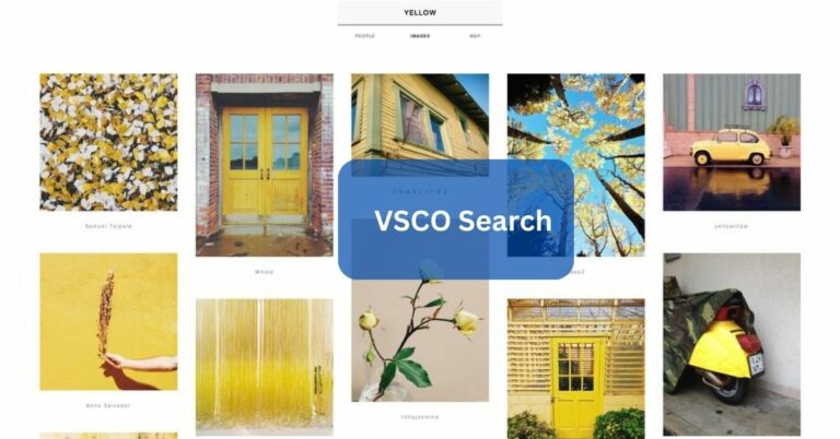 VSCO Search – Navigating the Visual Realm!