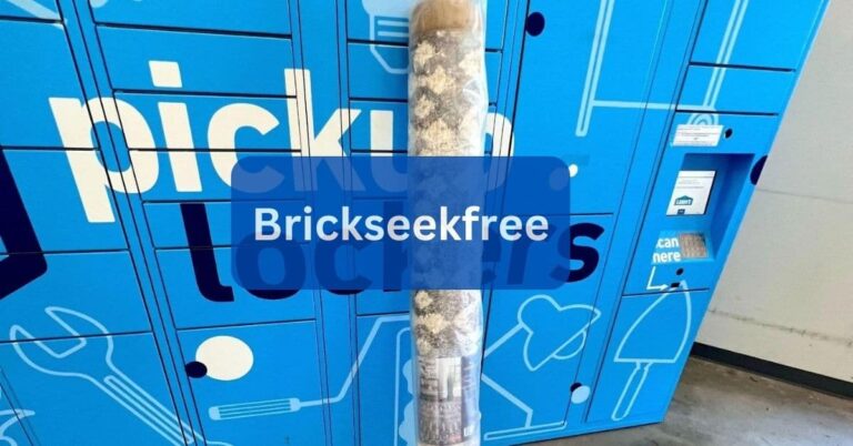 Brickseekfree/Brickseekfree – Dive Into Detailed!