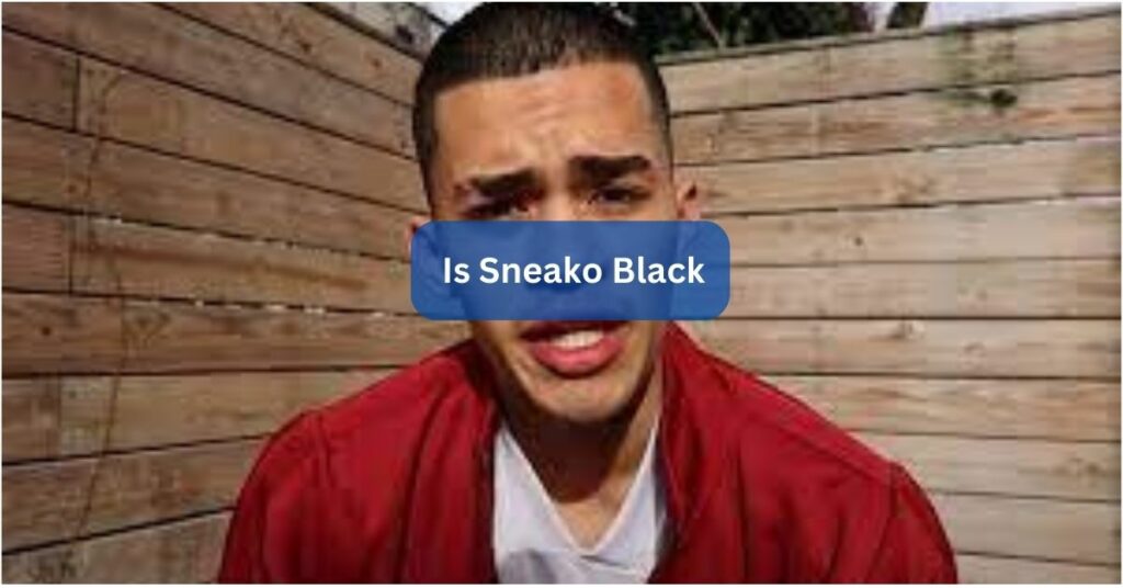 Is Sneako Black